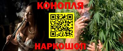 сатива Аша
