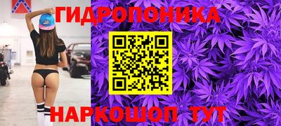 сатива Аша