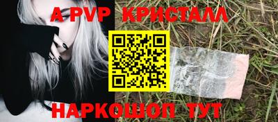 сатива Аша