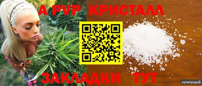 СК Ачхой-Мартан