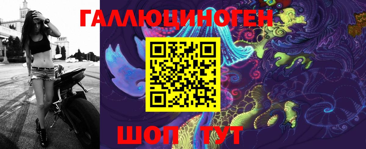 Псилоцибиновые грибы Psilocybe Крымск