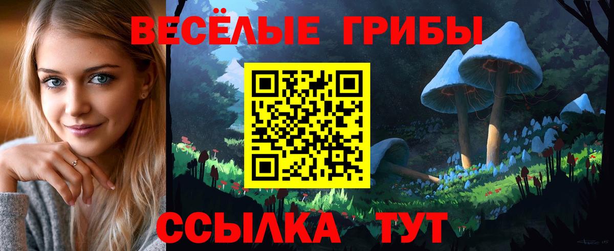 Псилоцибиновые грибы MAGIC MUSHROOMS  Псилоцибиновые грибы Psilocybine cubensis  Крымск  Вход с VPN 